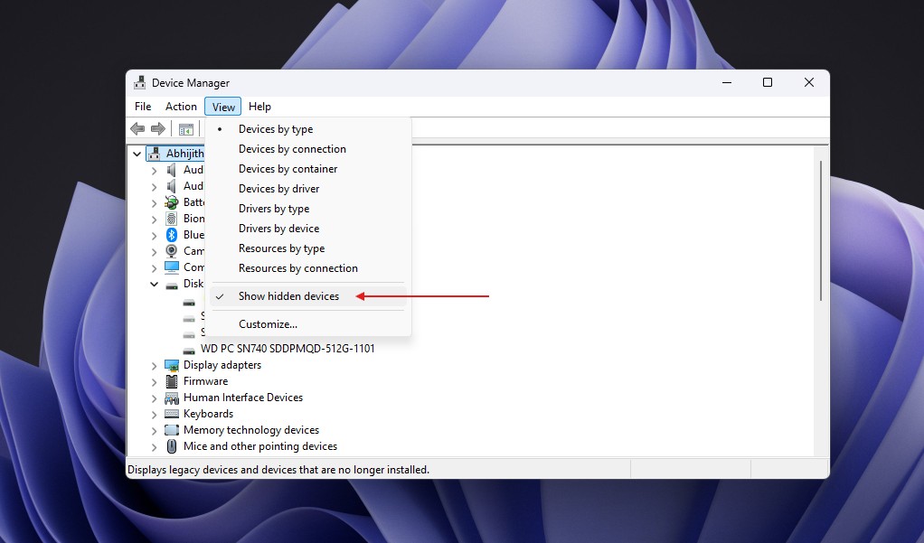 Show hidden devices option in Windows Device Manager