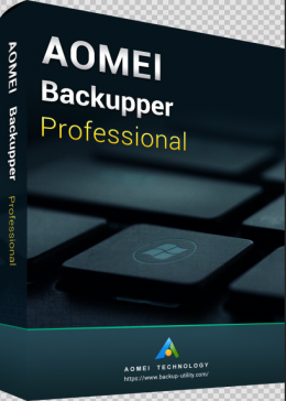 Cheap Steam Games  AOMEI Backupper Professional Edition Key Global
