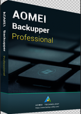 Cheap Steam Games  AOMEI Backupper Professional Edition 365 Days Key Global