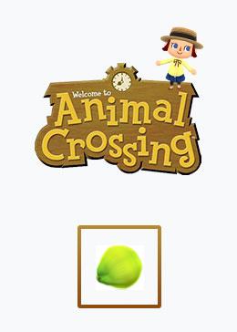 Cheap Animal Crossing Basic materials coconut*100