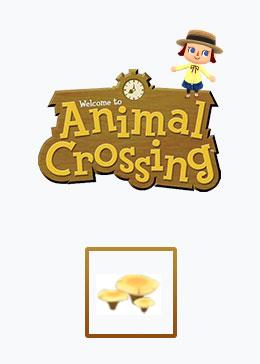 Cheap Animal Crossing Basic materials flat mushroom*100