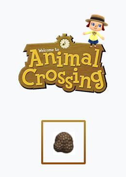 Cheap Animal Crossing Basic materials rare mushroom*100