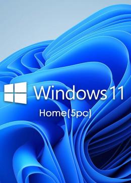 Cheap Software  Microsoft Windows 11 Home OEM KEY GLOBAL(5PC)(EDM)