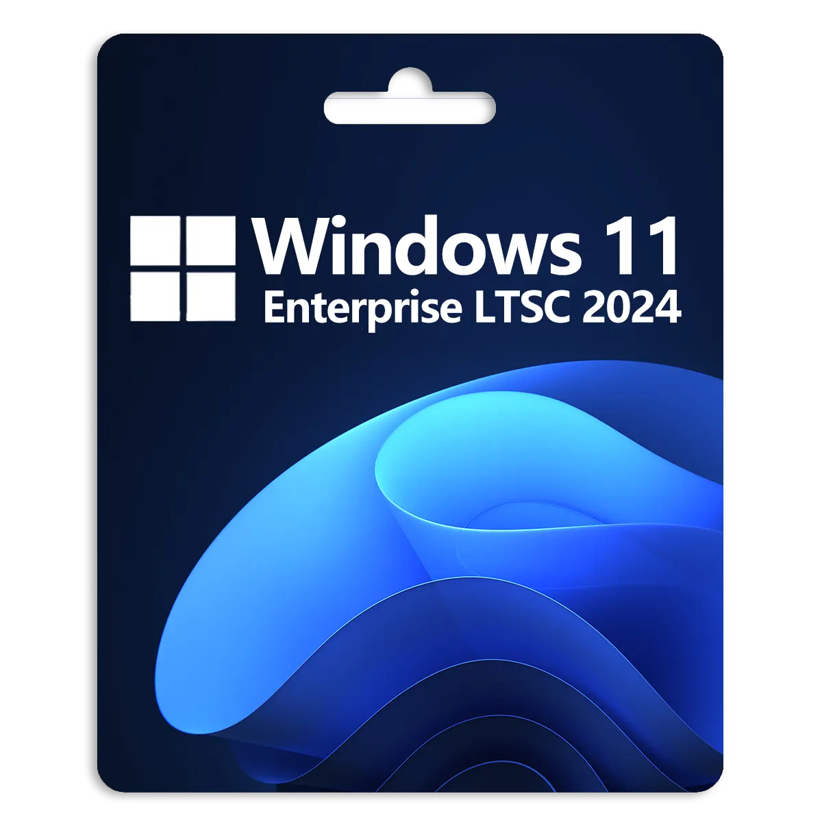 Windows 11 Enterprise LTSC 2024 Global CD Key