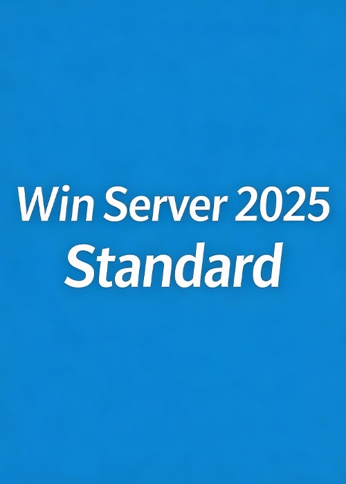 Cheap Software  Win Server 2025 Standard Key Global