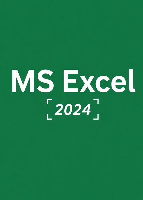 Cheap Software  MS Excel 2024 CD Key Global