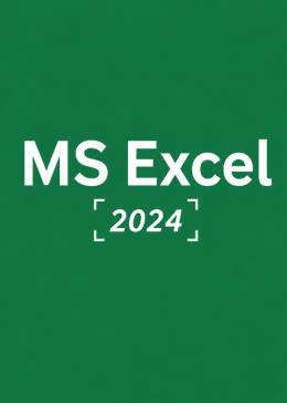 Cheap Software MS Excel 2024 CD Key Global